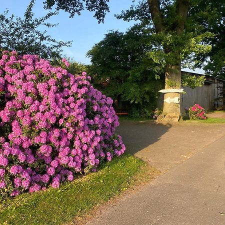 Unter Den Eichen Lägenhet Botersen Exteriör bild