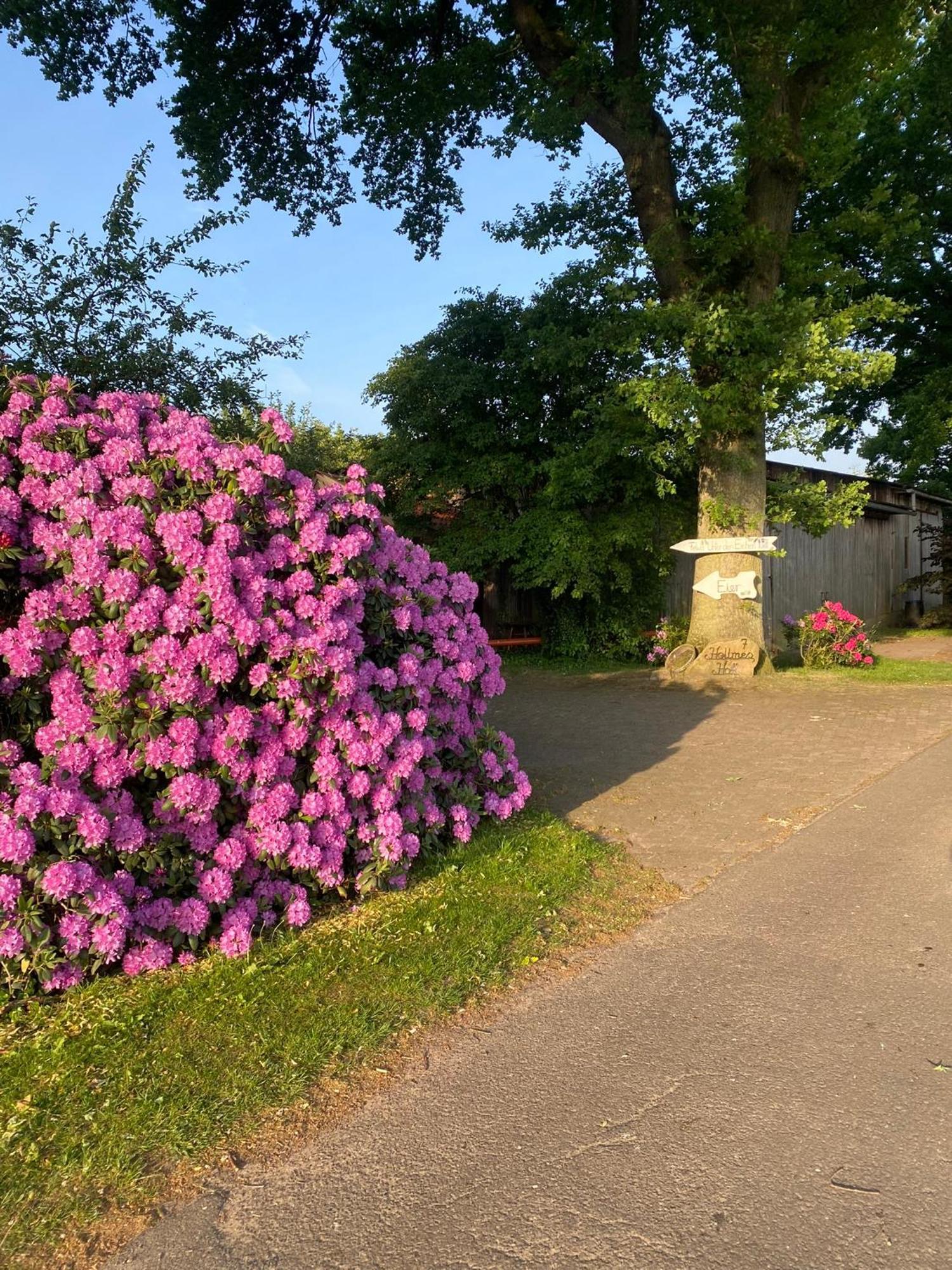 Unter Den Eichen Lägenhet Botersen Exteriör bild